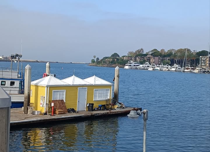 1762072486141209.jpg 301.jpg